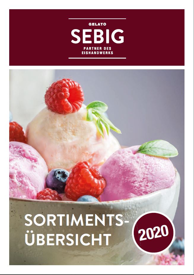 Gesamtkatalog 2020 Sebig